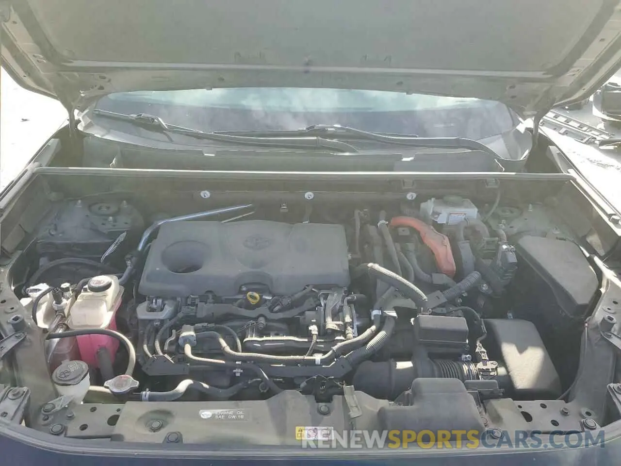 12 fotografías del automóvil dañado JTMLWRFVXKD502514 TOYOTA RAV4 2019