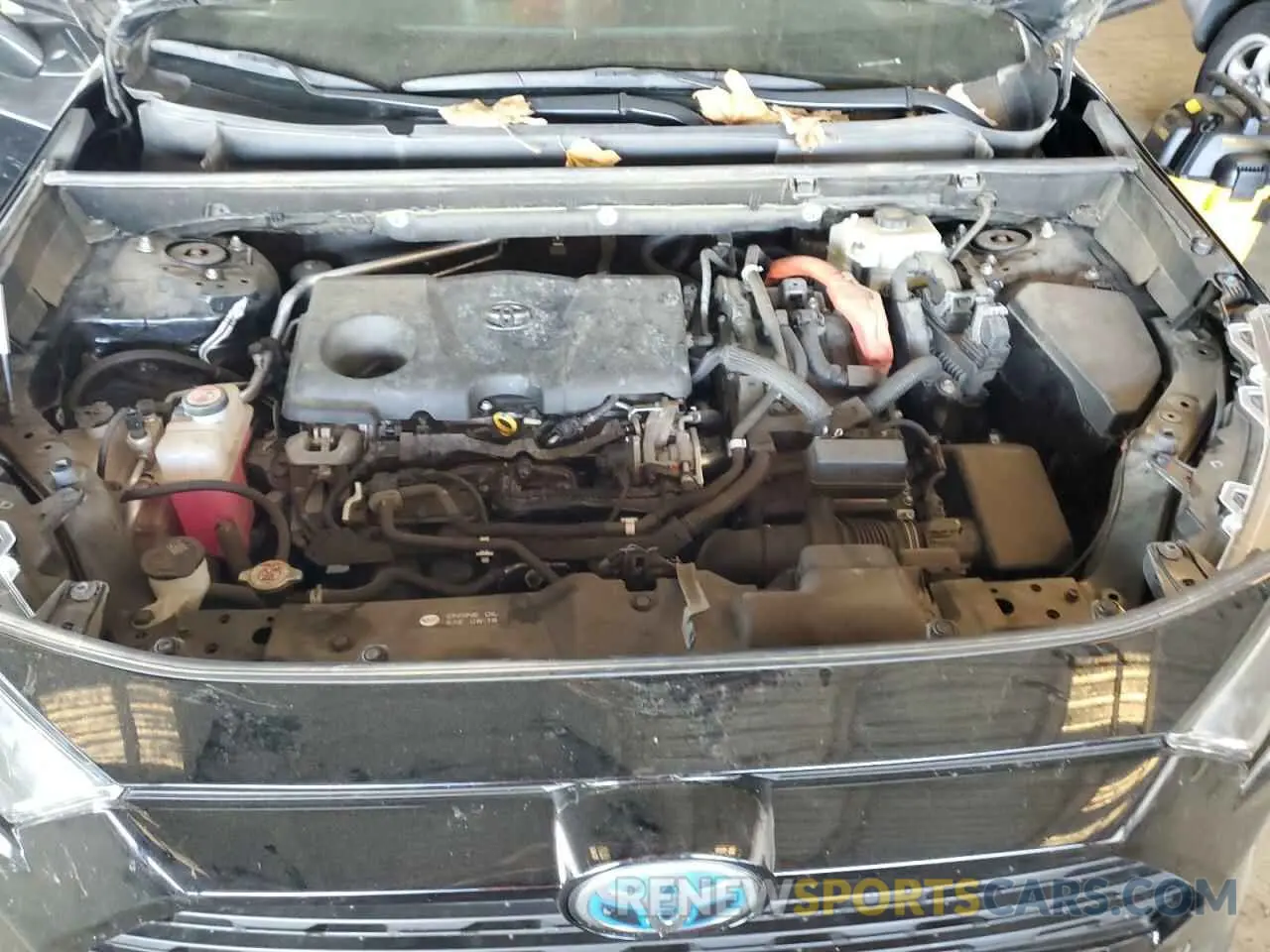 12 fotografías del automóvil dañado JTMMWRFV1KD004299 TOYOTA RAV4 2019