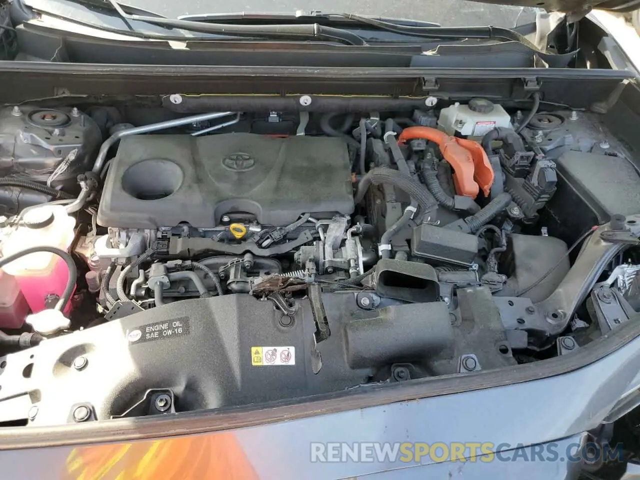 12 fotografías del automóvil dañado JTMMWRFV2KD026490 TOYOTA RAV4 2019