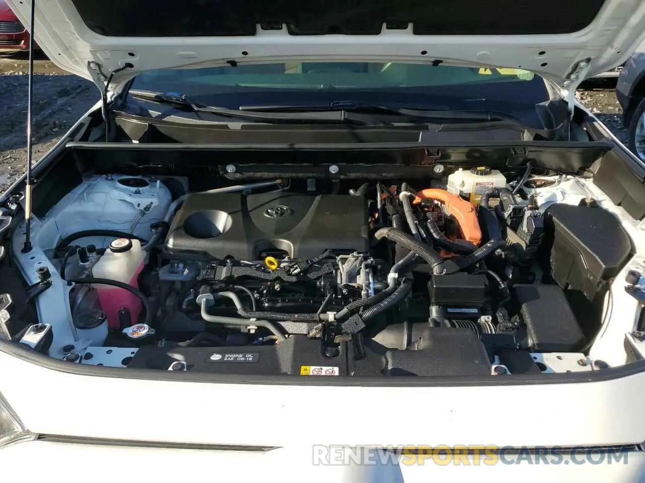 12 fotografías del automóvil dañado JTMMWRFV3KD029432 TOYOTA RAV4 2019