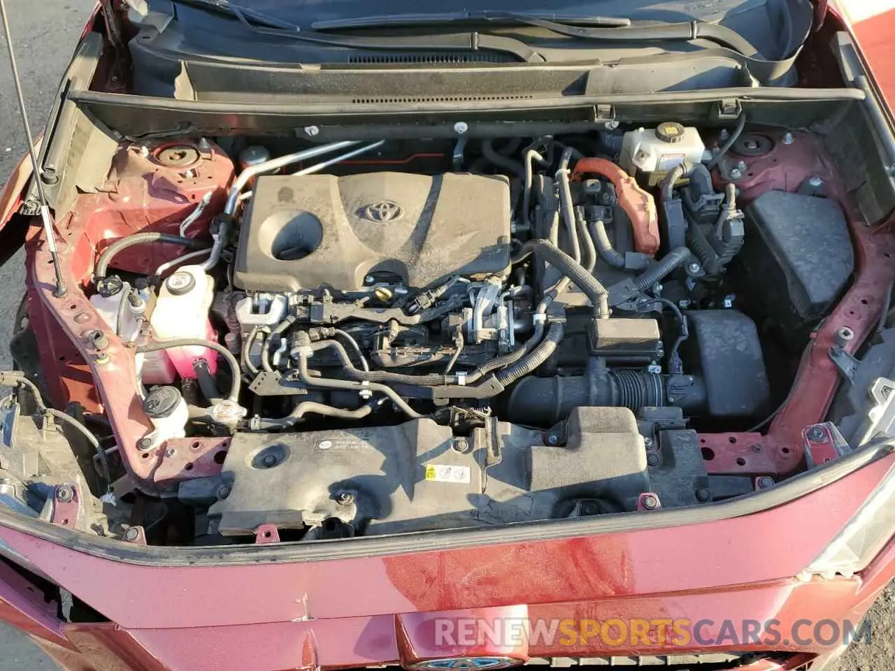 12 fotografías del automóvil dañado JTMMWRFV4KD002997 TOYOTA RAV4 2019