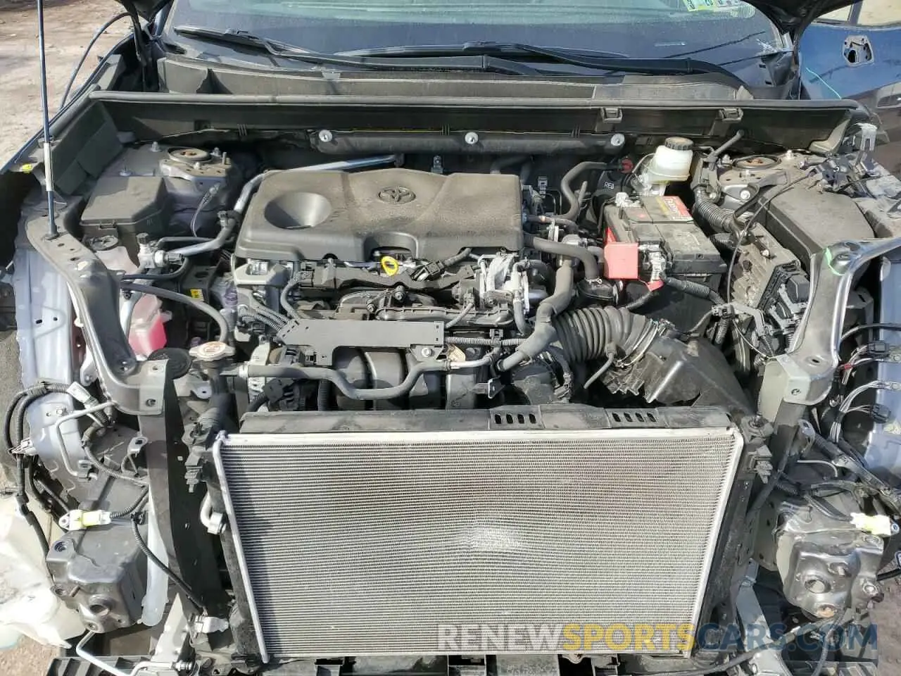 12 fotografías del automóvil dañado JTMN1RFV0KD501962 TOYOTA RAV4 2019