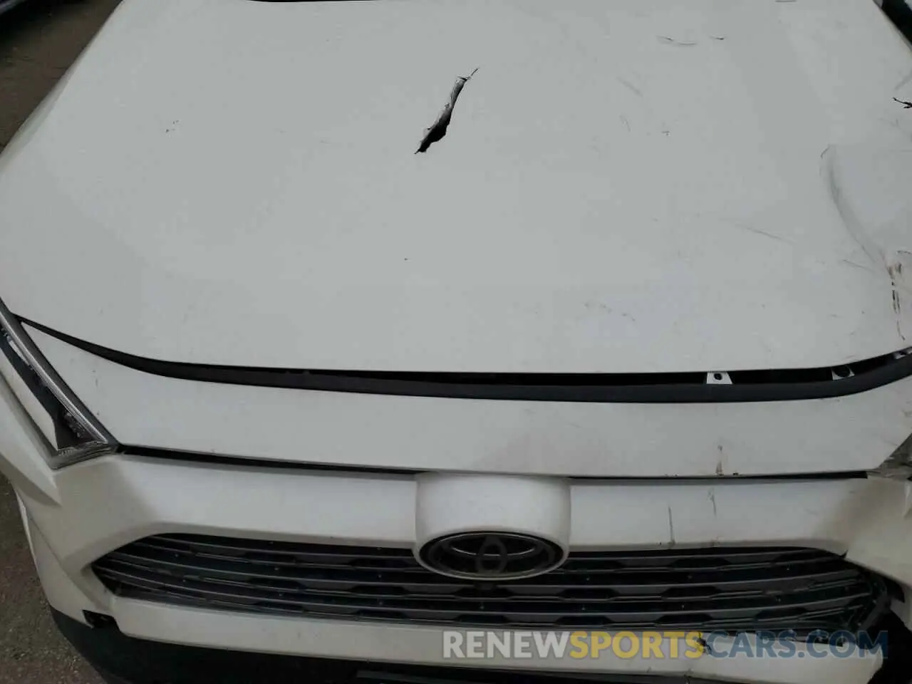 14 fotografías del automóvil dañado JTMN1RFV0KD515487 TOYOTA RAV4 2019