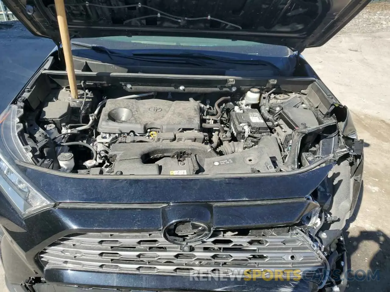 12 fotografías del automóvil dañado JTMN1RFV2KD518441 TOYOTA RAV4 2019