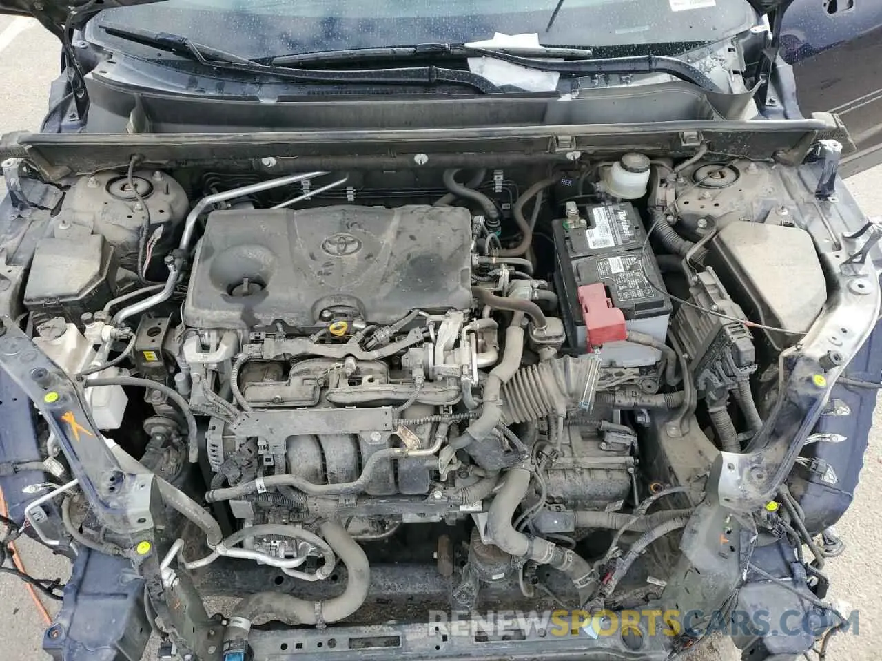 12 fotografías del automóvil dañado JTMN1RFV6KD504820 TOYOTA RAV4 2019