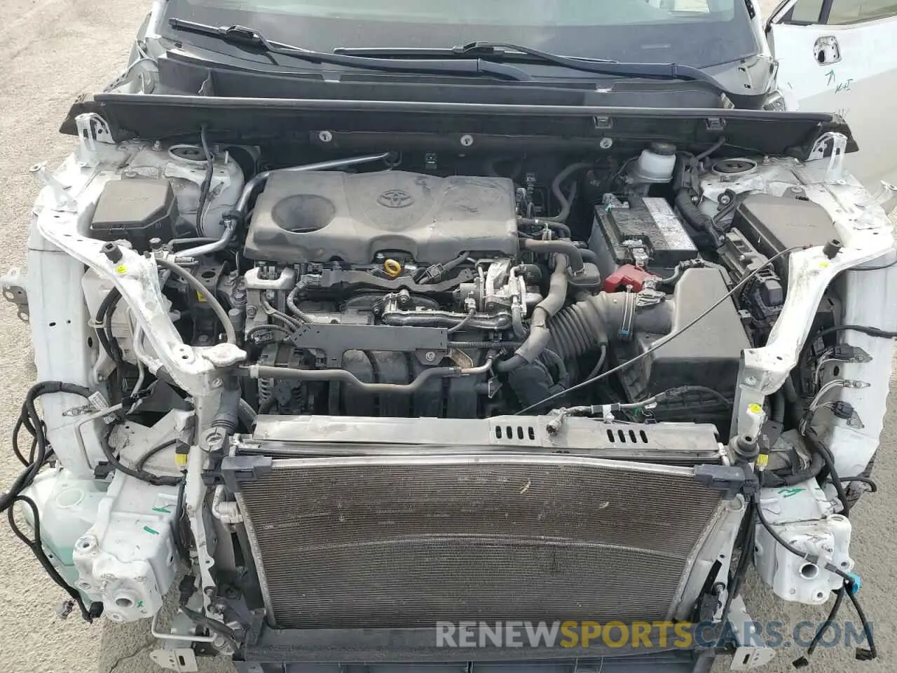 12 fotografías del automóvil dañado JTMN1RFV8KD523806 TOYOTA RAV4 2019