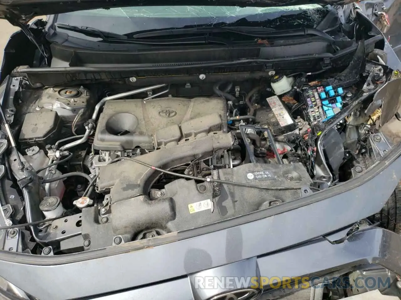 12 fotografías del automóvil dañado JTMP1RFV1KD008624 TOYOTA RAV4 2019
