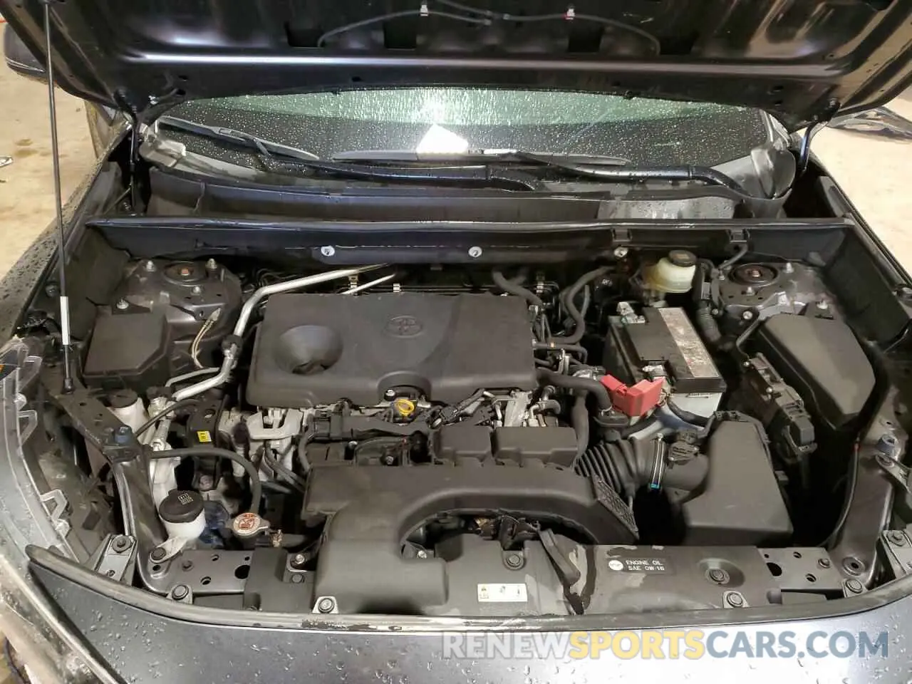 12 fotografías del automóvil dañado JTMP1RFV2KD006820 TOYOTA RAV4 2019