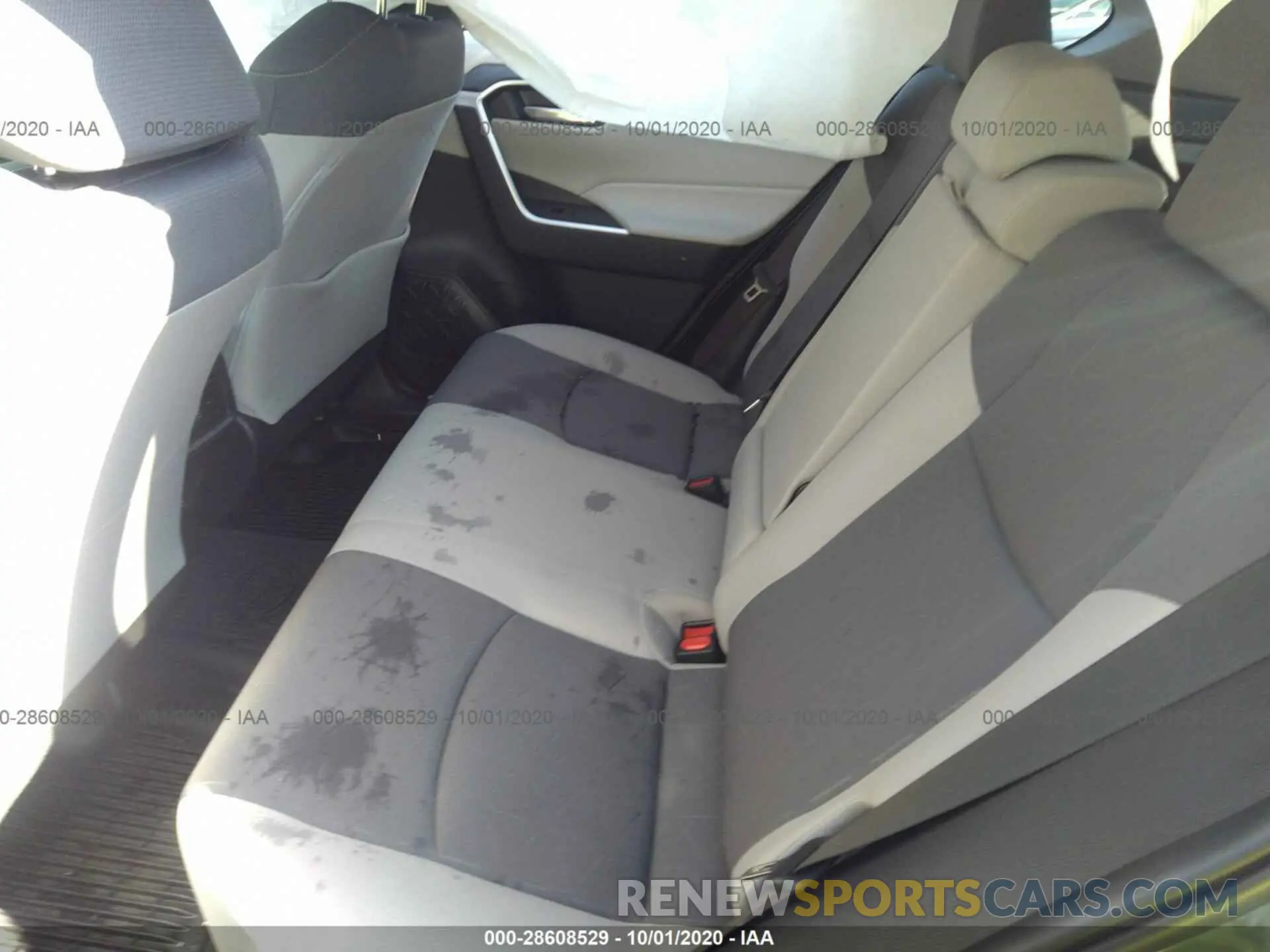 8 fotografías del automóvil dañado JTMP1RFV2KD022712 TOYOTA RAV4 2019