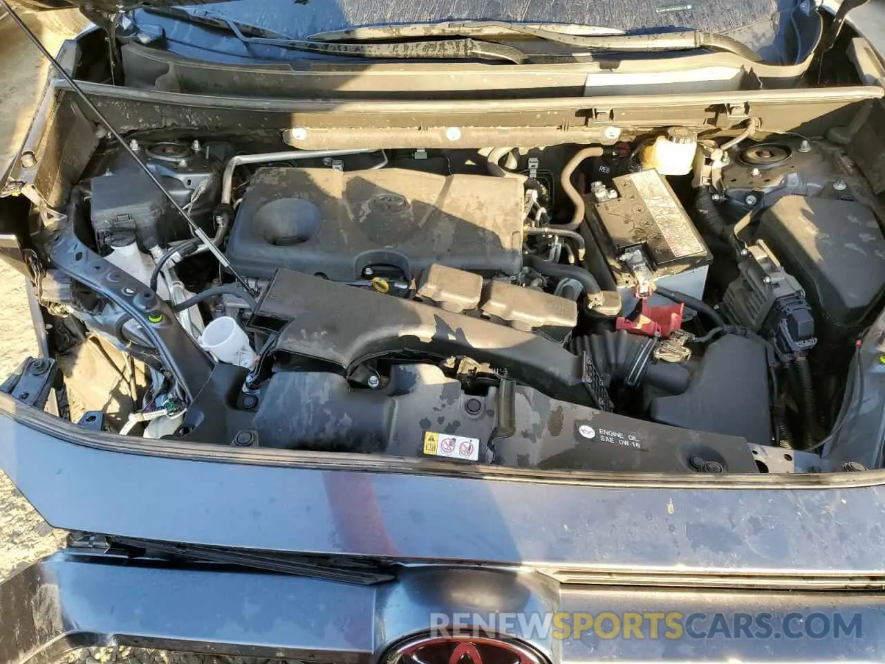 12 fotografías del automóvil dañado JTMP1RFV3KD035114 TOYOTA RAV4 2019