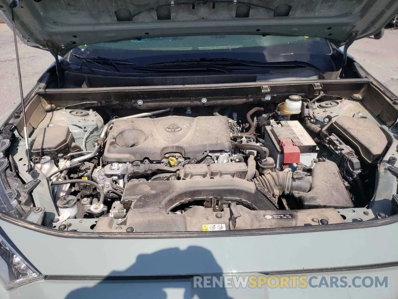 7 fotografías del automóvil dañado JTMP1RFV5KJ022947 TOYOTA RAV4 2019