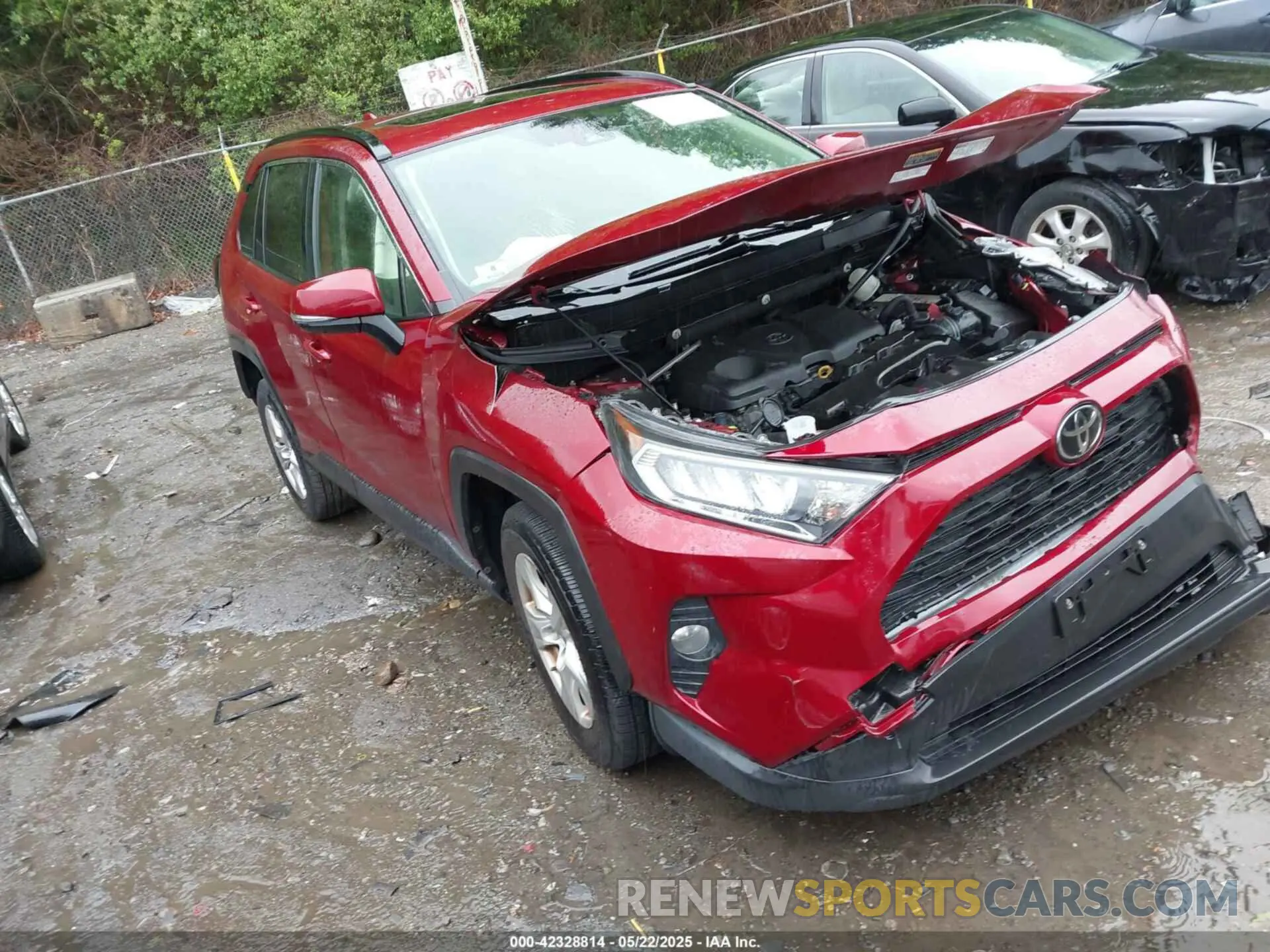 1 fotografías del automóvil dañado JTMP1RFV7KD516029 TOYOTA RAV4 2019