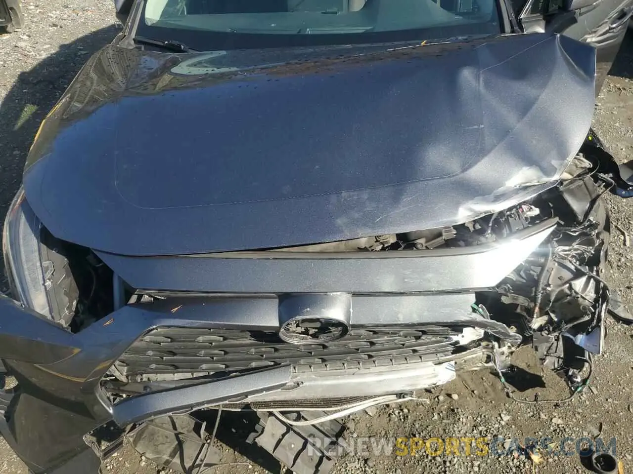 12 fotografías del automóvil dañado JTMP1RFV8KD005817 TOYOTA RAV4 2019