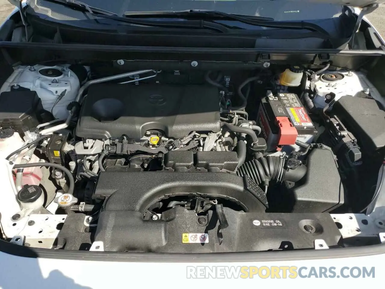13 fotografías del automóvil dañado JTMP1RFV8KD009012 TOYOTA RAV4 2019