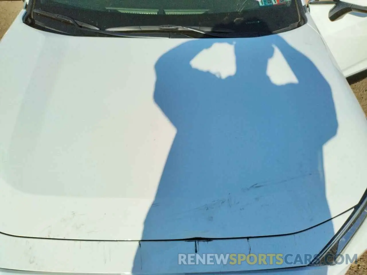 7 fotografías del automóvil dañado JTMP1RFV8KD031477 TOYOTA RAV4 2019