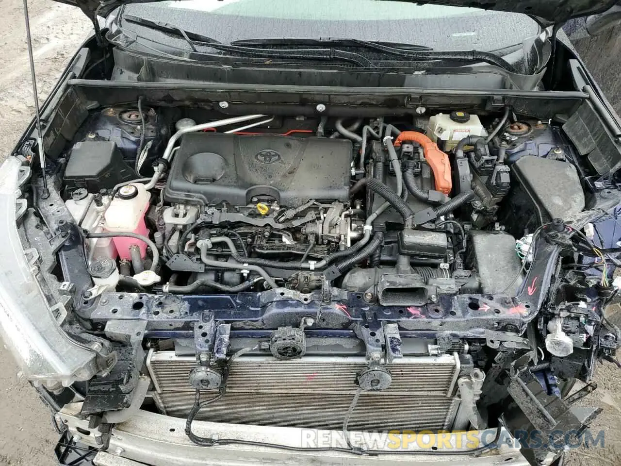 12 fotografías del automóvil dañado JTMRWRFV3KD006531 TOYOTA RAV4 2019