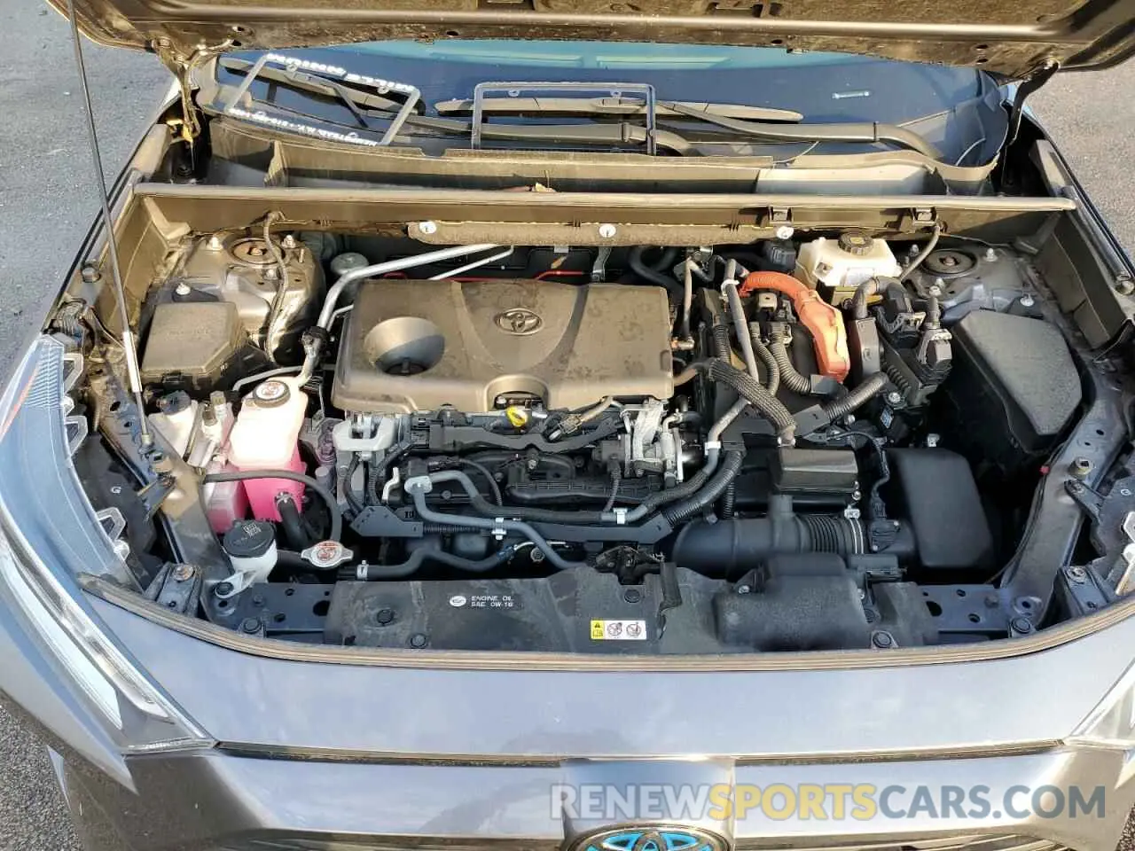 12 fotografías del automóvil dañado JTMRWRFV4KD015982 TOYOTA RAV4 2019