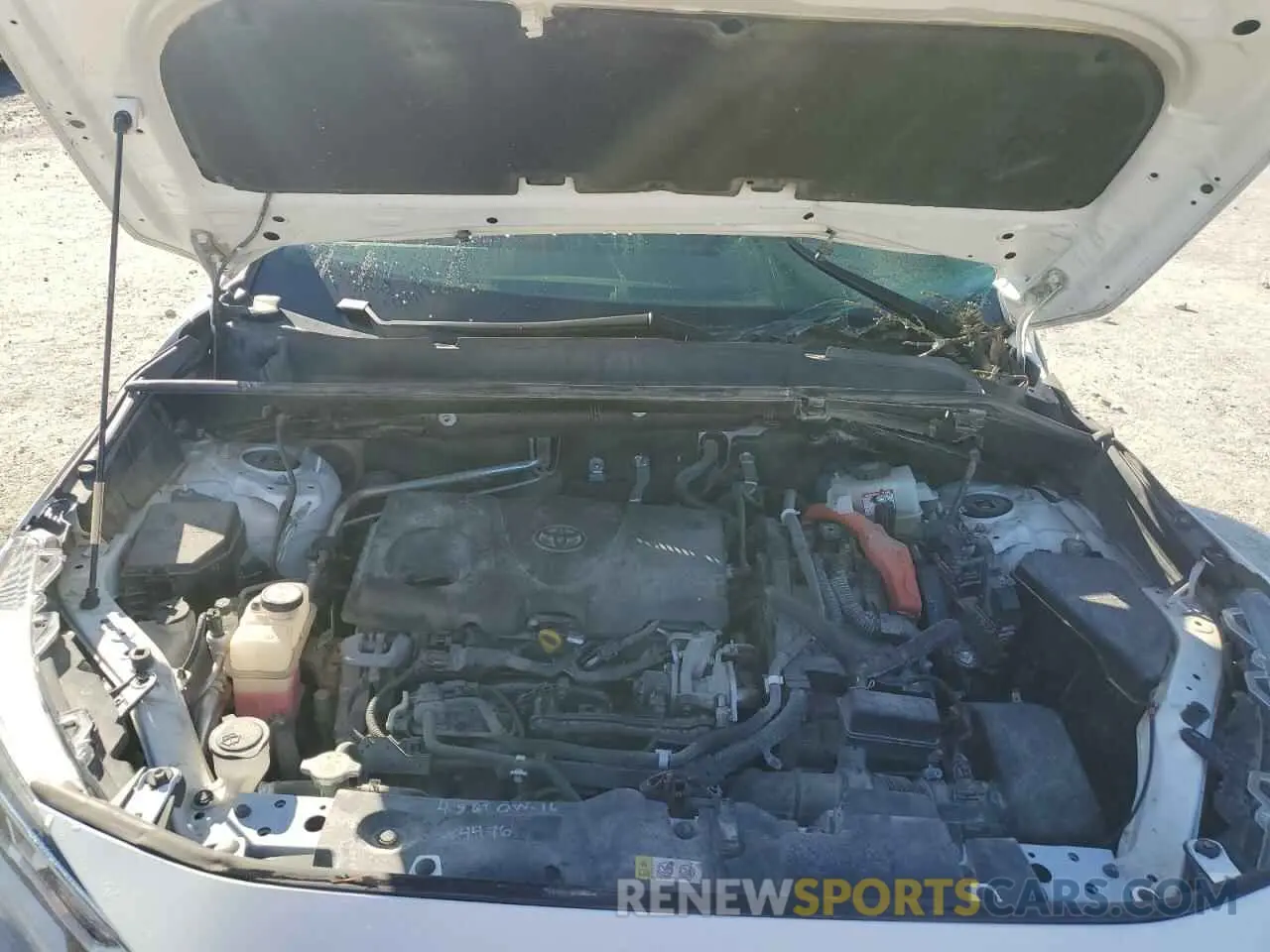 12 fotografías del automóvil dañado JTMRWRFV5KD014100 TOYOTA RAV4 2019