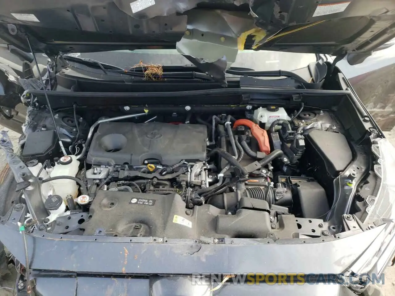 7 fotografías del automóvil dañado JTMRWRFV8KD013717 TOYOTA RAV4 2019