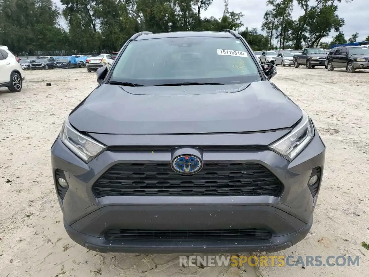 5 fotografías del automóvil dañado JTMRWRFV9KD028775 TOYOTA RAV4 2019