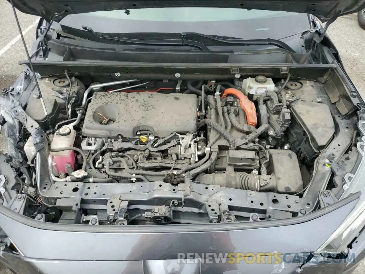 12 fotografías del automóvil dañado JTMRWRFVXKD015906 TOYOTA RAV4 2019