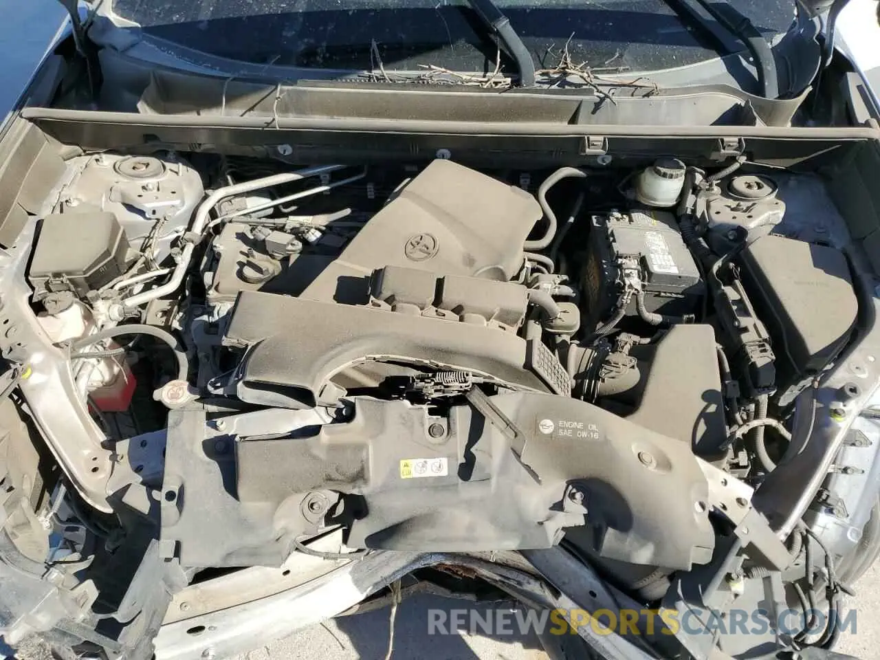 12 fotografías del automóvil dañado JTMW1RFV5KD003972 TOYOTA RAV4 2019
