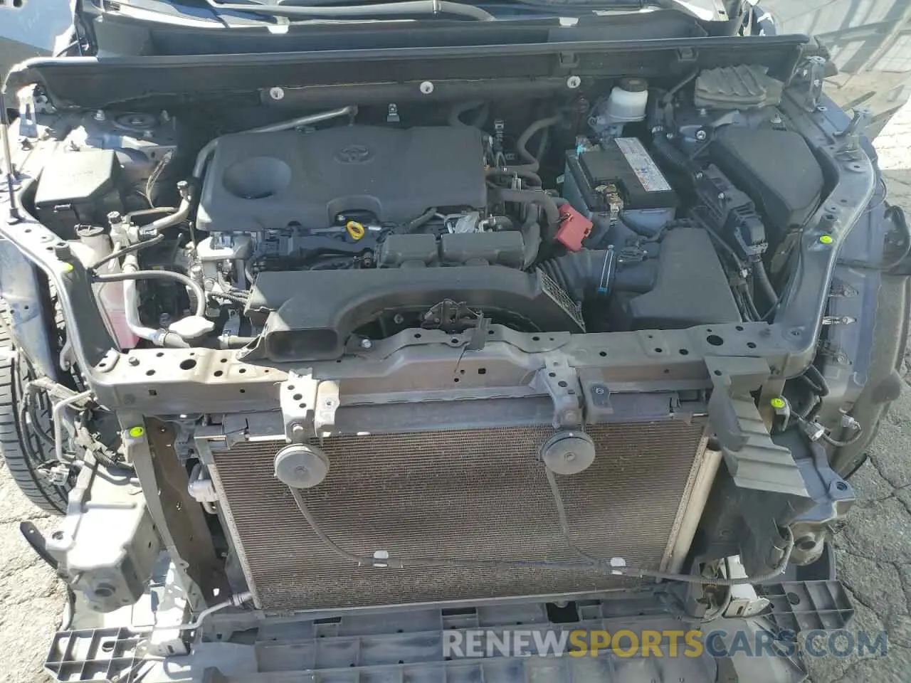 12 fotografías del automóvil dañado JTMW1RFV6KD025298 TOYOTA RAV4 2019