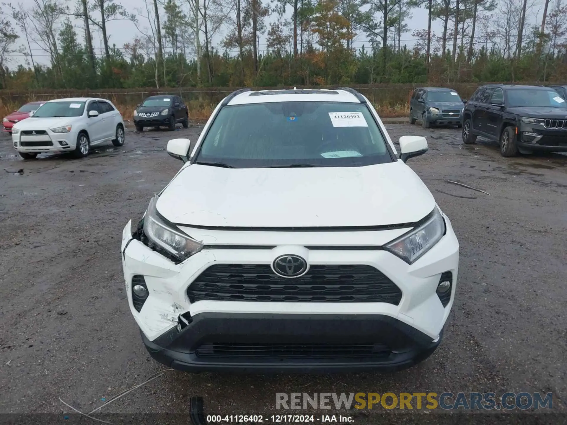 12 fotografías del automóvil dañado JTMW1RFV8KD006767 TOYOTA RAV4 2019