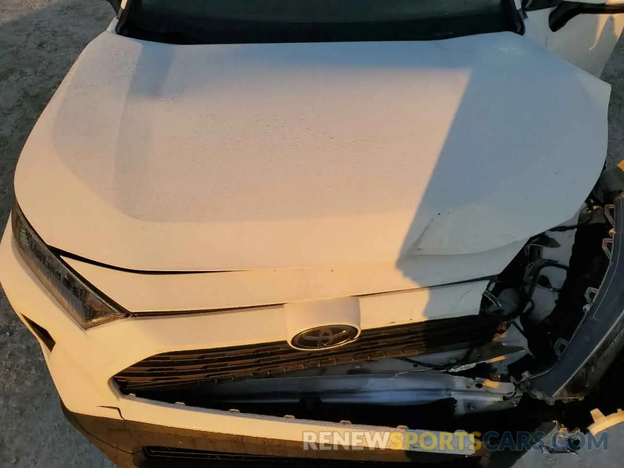 12 fotografías del automóvil dañado JTMW1RFV8KD018143 TOYOTA RAV4 2019