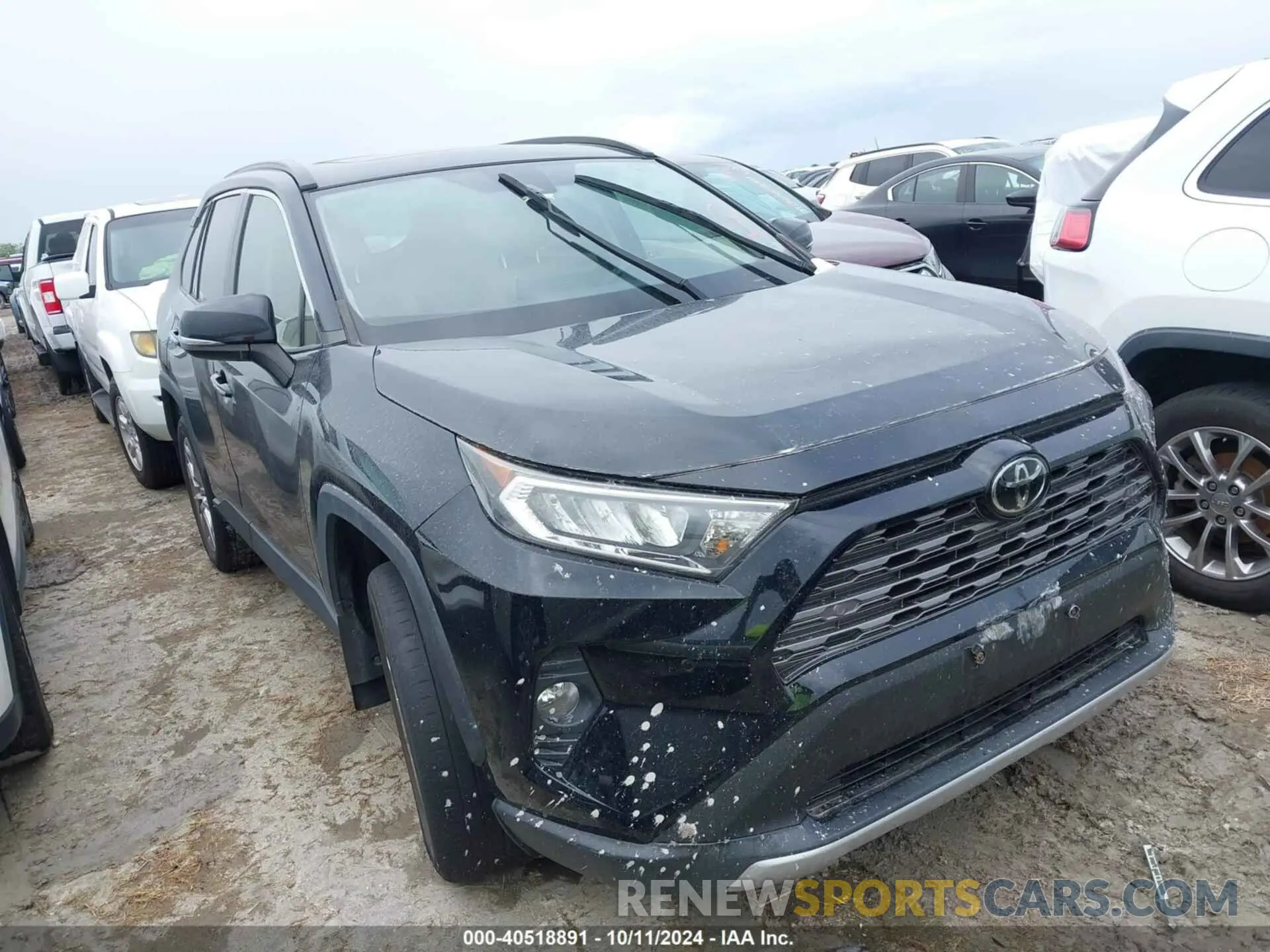 1 fotografías del automóvil dañado JTMY1RFV1KD500865 TOYOTA RAV4 2019