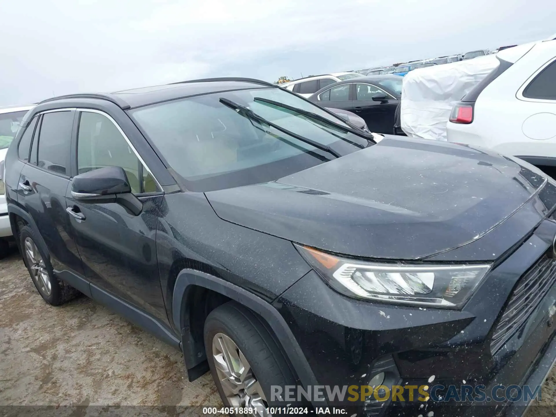 13 fotografías del automóvil dañado JTMY1RFV1KD500865 TOYOTA RAV4 2019