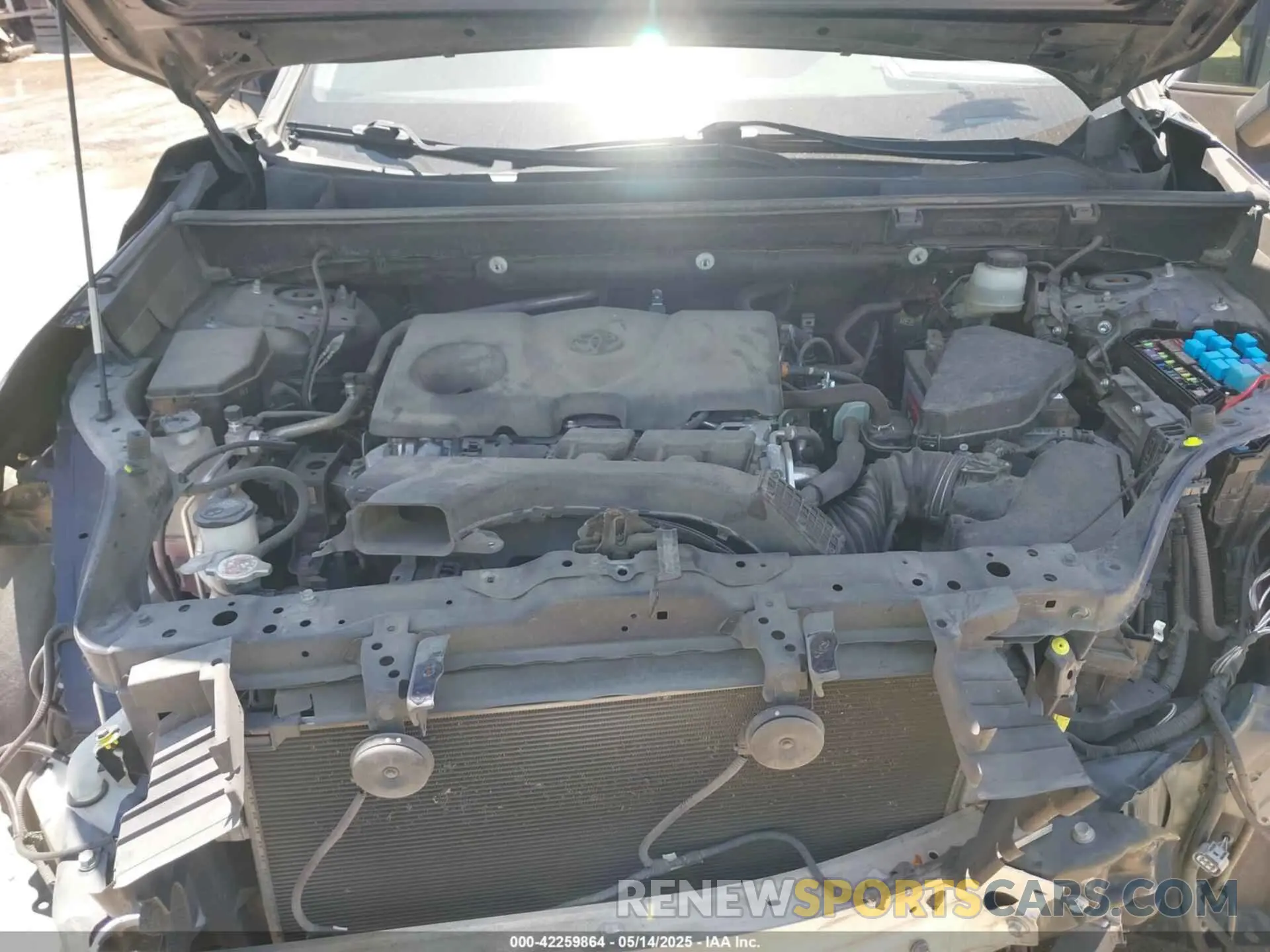 10 fotografías del automóvil dañado JTMY1RFV7KD516262 TOYOTA RAV4 2019