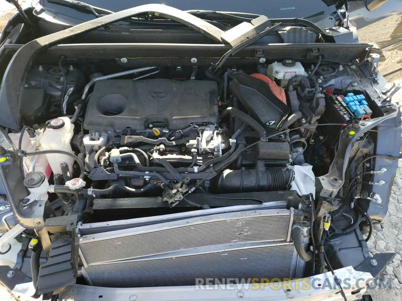 7 fotografías del automóvil dañado JTMEWRFV0LJ050018 TOYOTA RAV4 2020