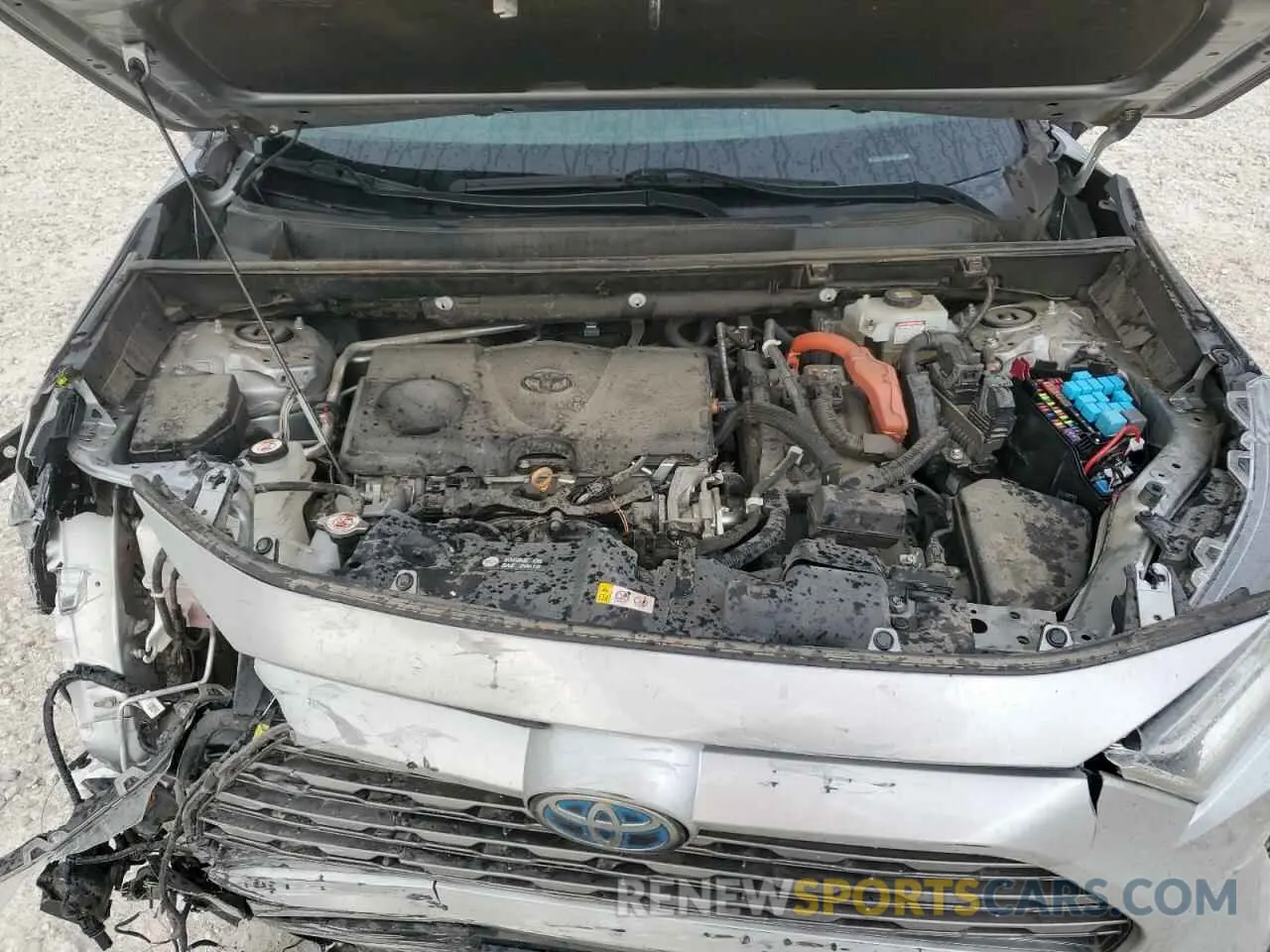 12 fotografías del automóvil dañado 2T3E6RFV0MW013344 TOYOTA RAV4 2021