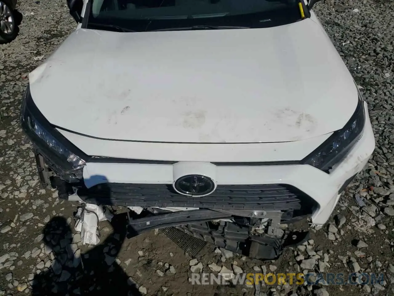 12 fotografías del automóvil dañado 2T3F1RFV7MW206769 TOYOTA RAV4 2021