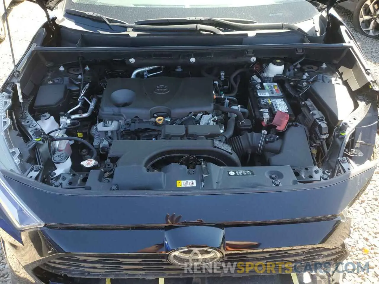 12 fotografías del automóvil dañado 2T3P1RFVXMC229260 TOYOTA RAV4 2021