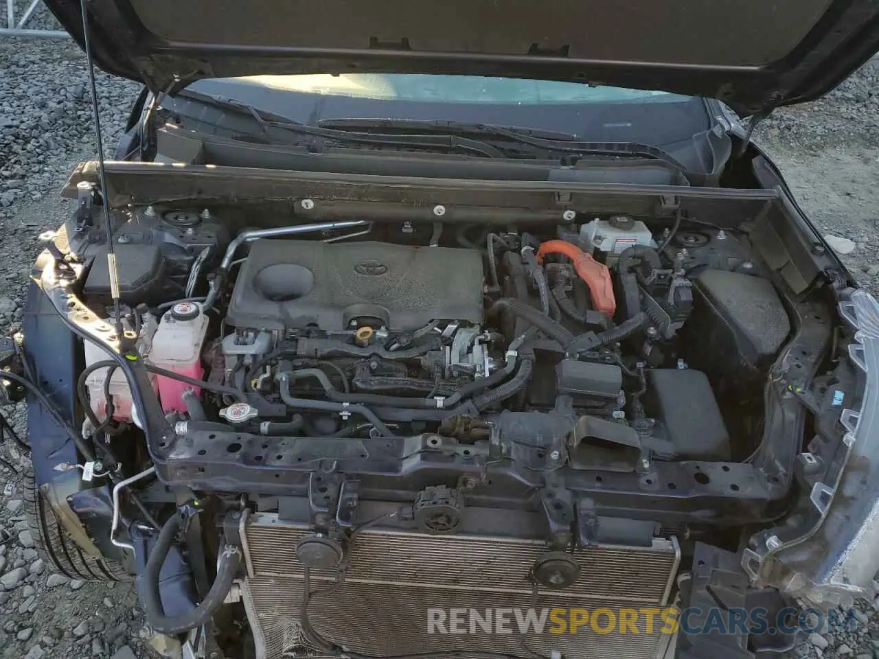 12 fotografías del automóvil dañado 2T3R6RFV0MW011238 TOYOTA RAV4 2021