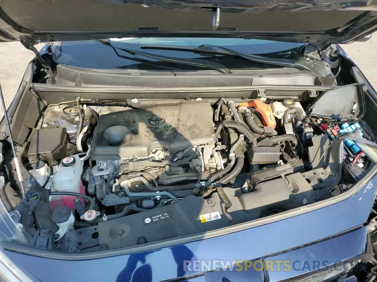 12 fotografías del automóvil dañado 2T3R6RFV5MW006553 TOYOTA RAV4 2021