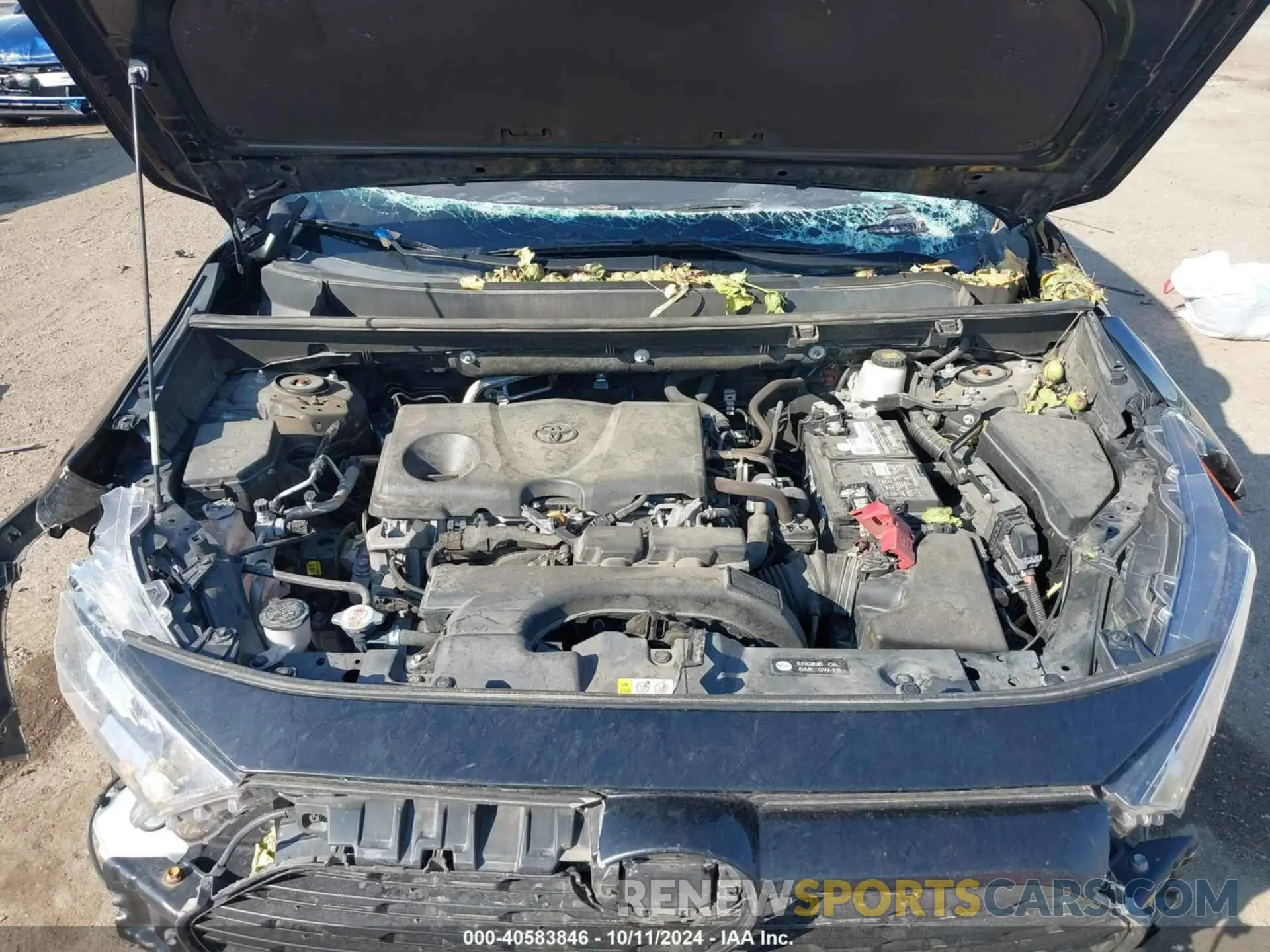 10 fotografías del automóvil dañado 2T3W1RFV5MW117914 TOYOTA RAV4 2021