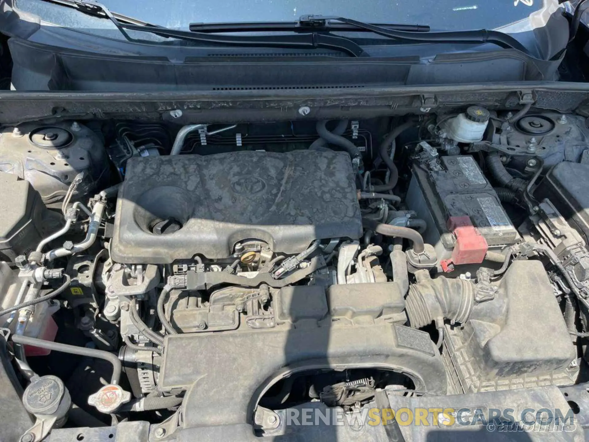 12 fotografías del automóvil dañado 2T3W1RFV5MW153635 TOYOTA RAV4 2021