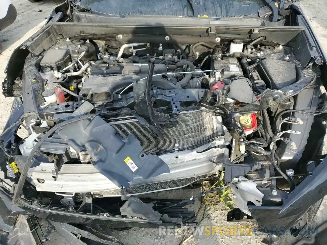 12 fotografías del automóvil dañado 2T3W1RFV5MW156048 TOYOTA RAV4 2021