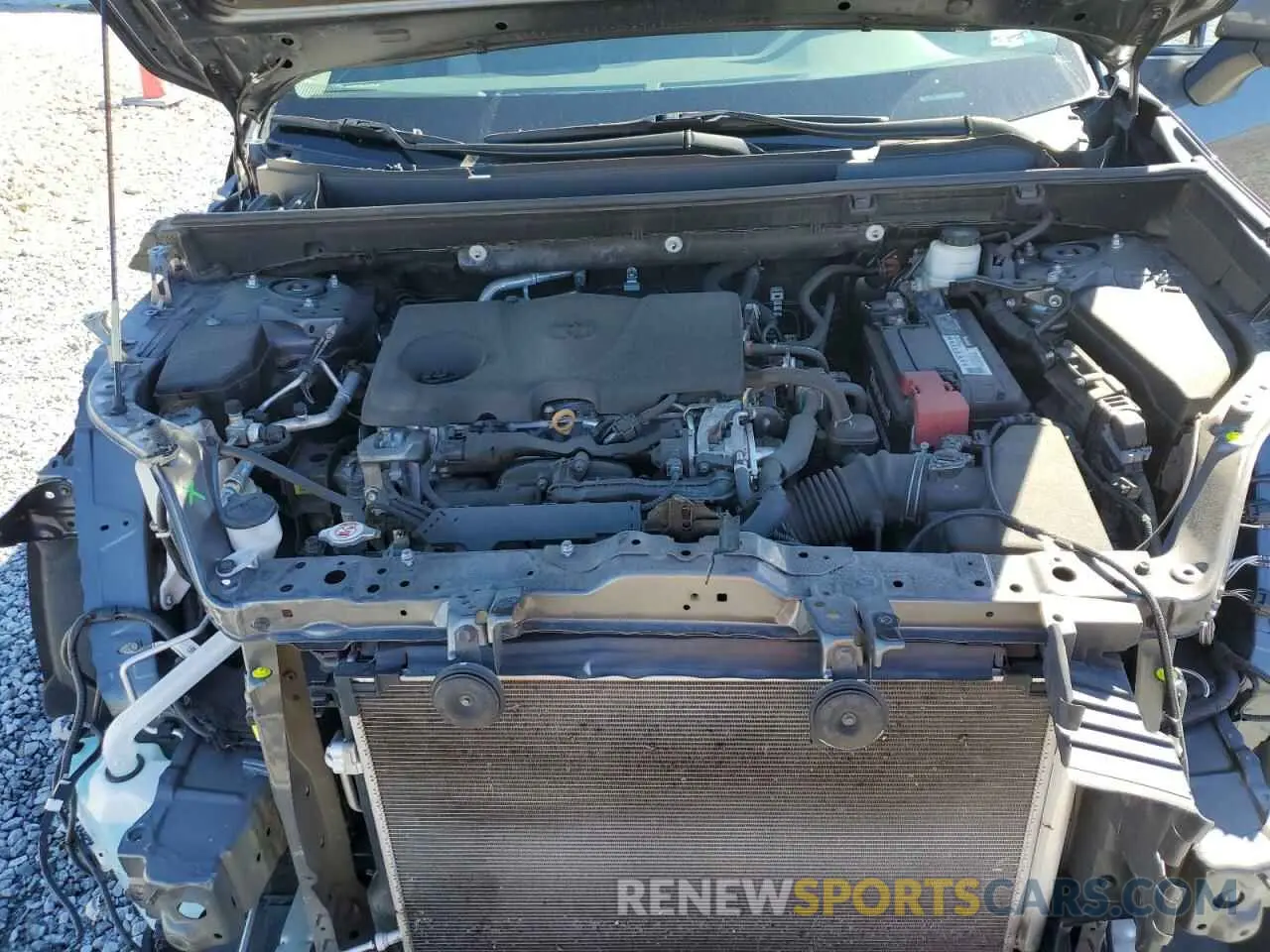 12 fotografías del automóvil dañado 2T3W1RFV7MC100081 TOYOTA RAV4 2021