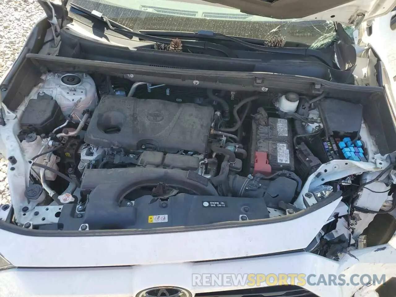 13 fotografías del automóvil dañado 2T3W1RFV8MC136023 TOYOTA RAV4 2021