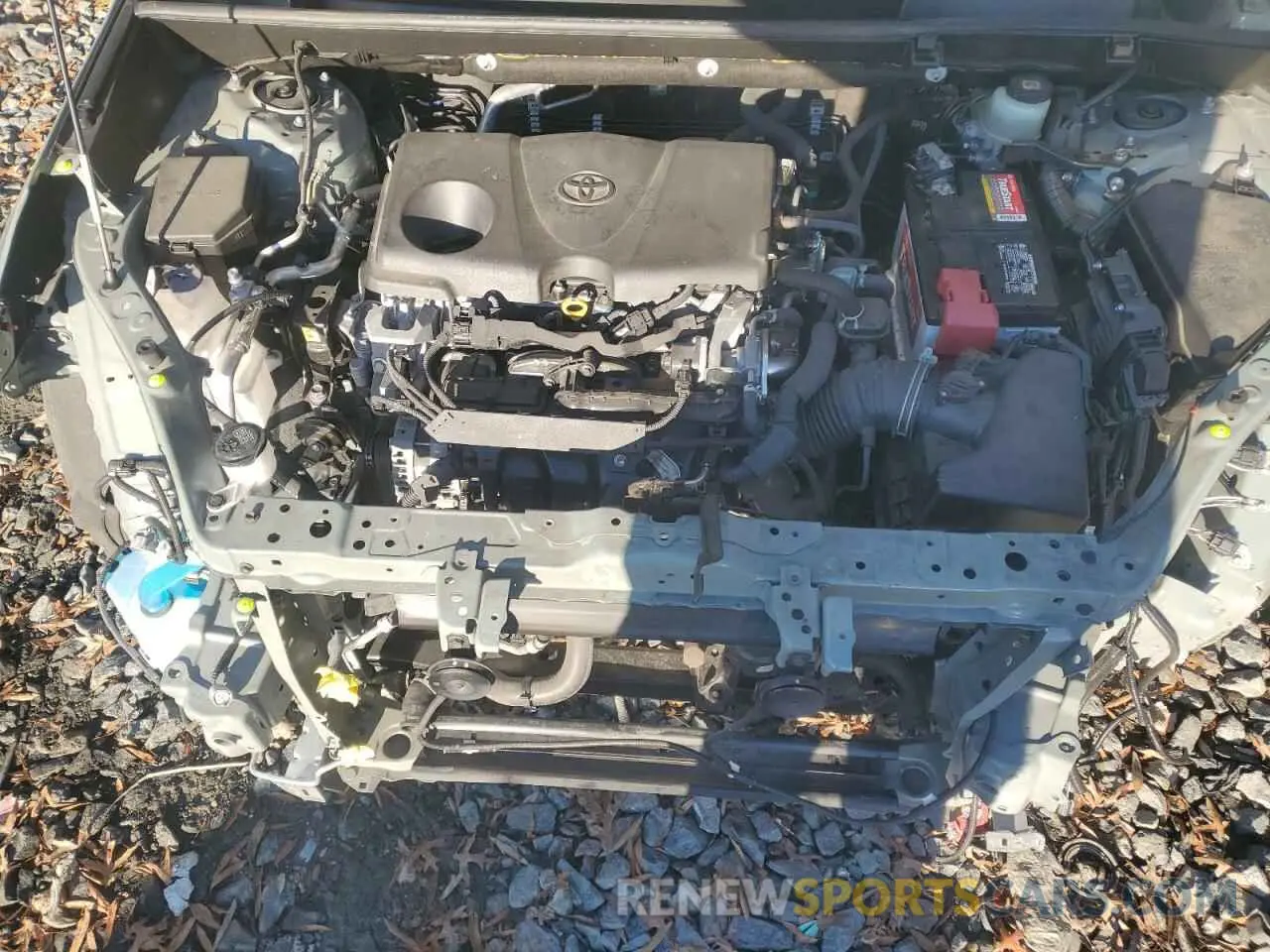 12 fotografías del automóvil dañado JTMP1RFV2MD079916 TOYOTA RAV4 2021