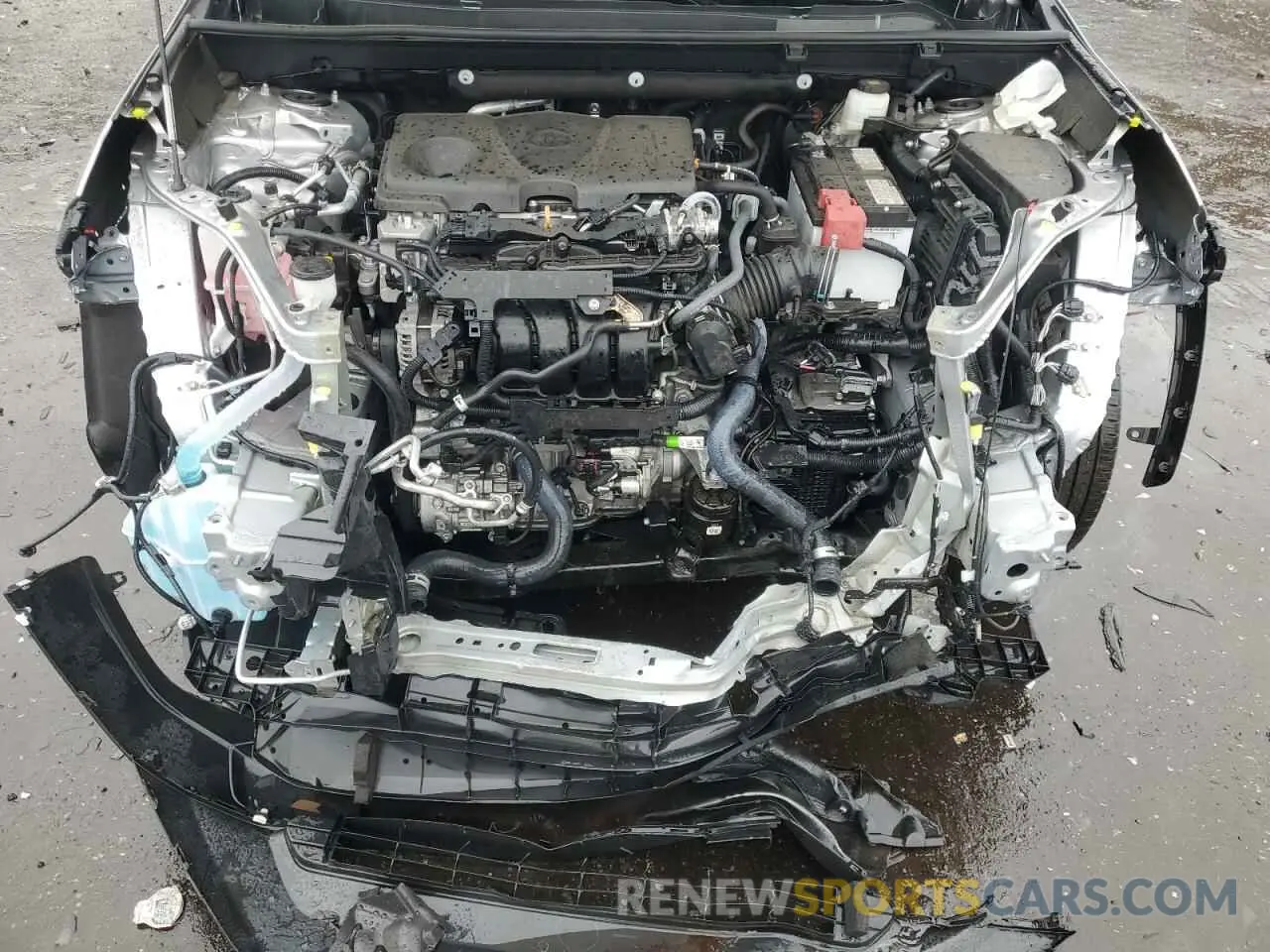 12 fotografías del automóvil dañado 2T3F1RFV1NC322102 TOYOTA RAV4 2022