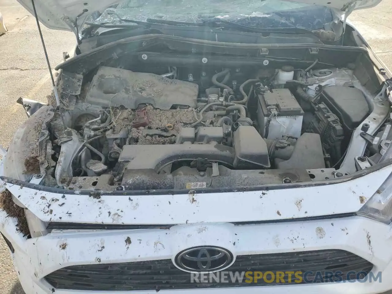 12 fotografías del automóvil dañado 2T3P1RFV0NW255267 TOYOTA RAV4 2022