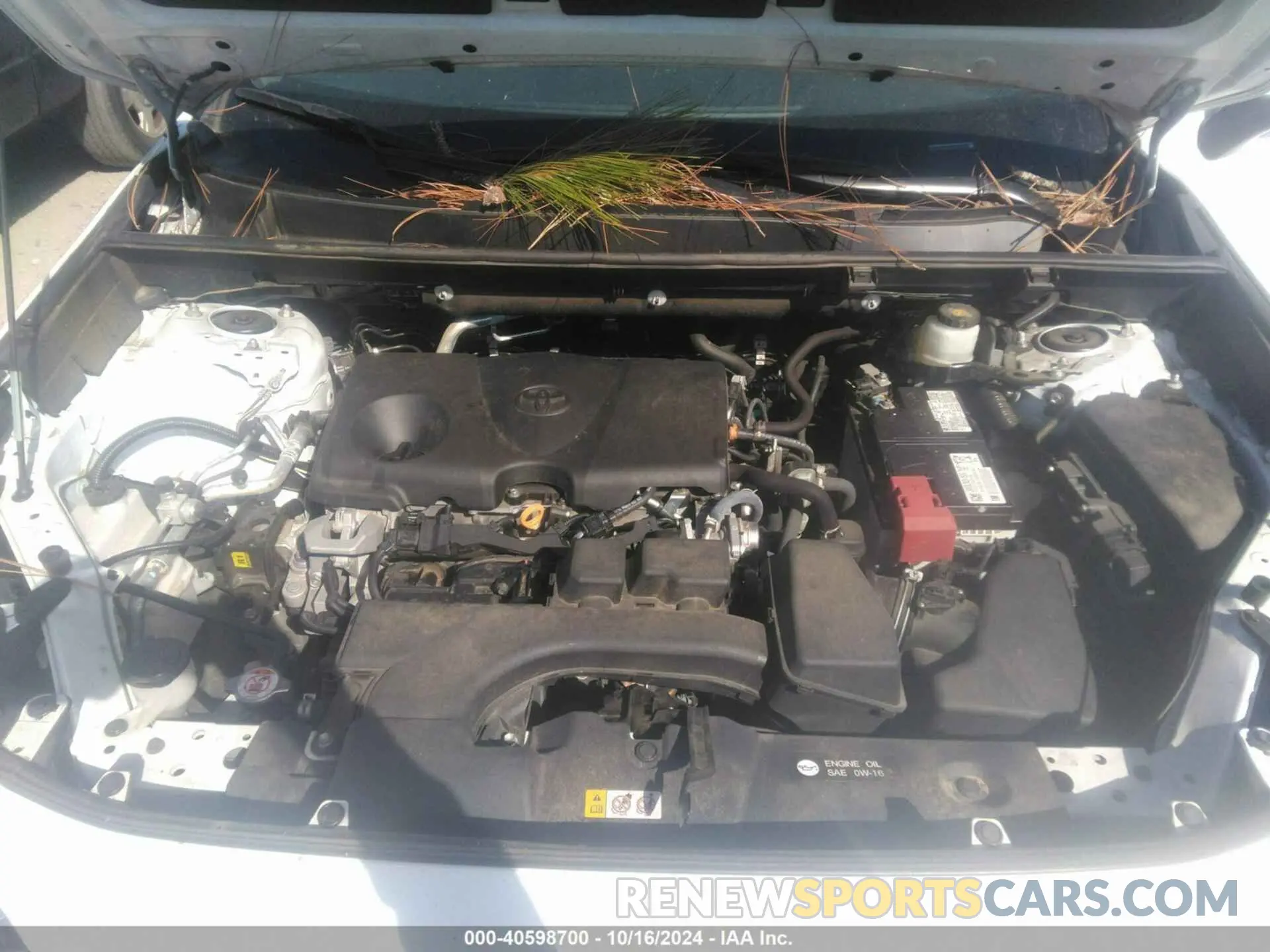 10 fotografías del automóvil dañado 2T3W1RFV6NW188170 TOYOTA RAV4 2022