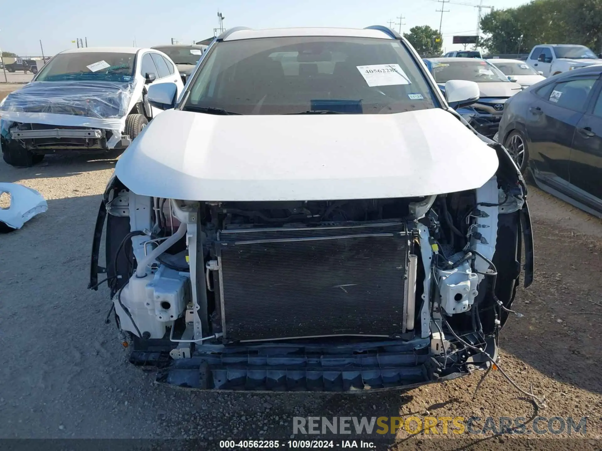 13 fotografías del automóvil dañado 2T3W1RFV8NC177561 TOYOTA RAV4 2022