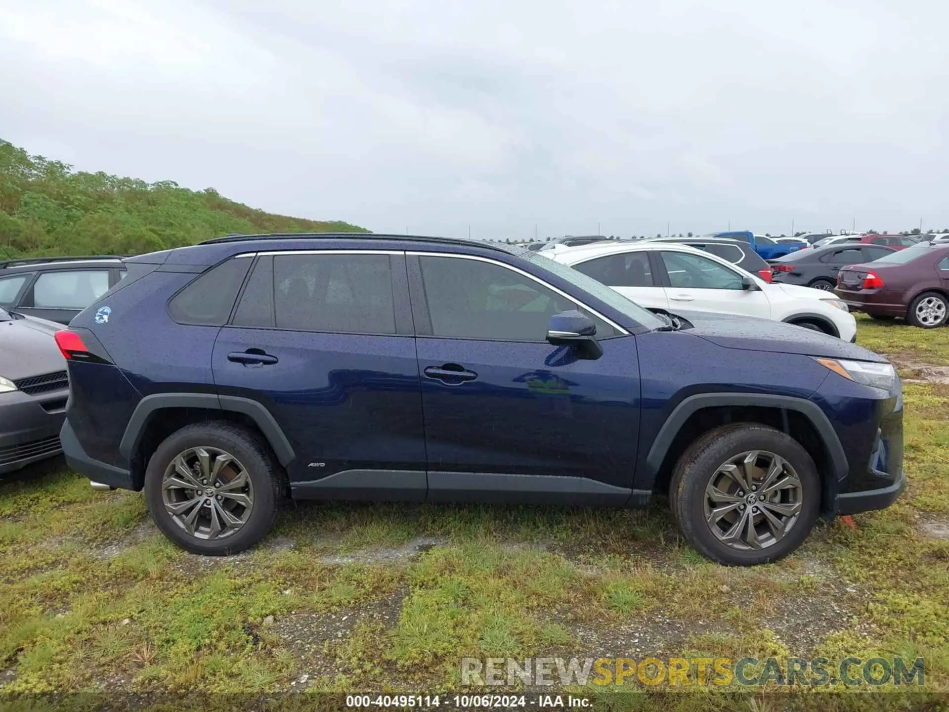 13 fotografías del automóvil dañado JTMB6RFV5ND521942 TOYOTA RAV4 2022