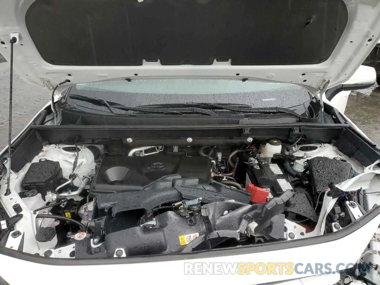 12 fotografías del automóvil dañado 2T3P1RFV6PC376535 TOYOTA RAV4 2023